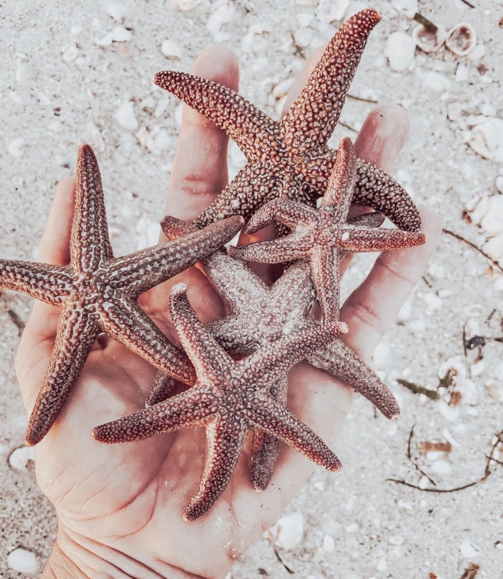 O legado das&nbsp;sereias