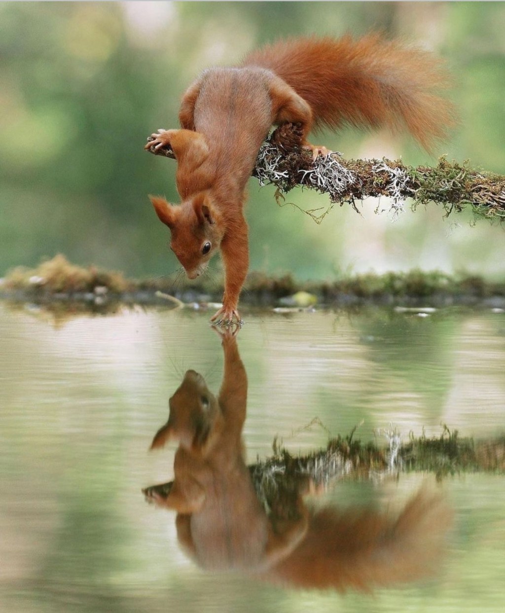 O que eu faço com&nbsp;isso?